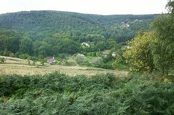 Tib Cross from Welshbury Wood