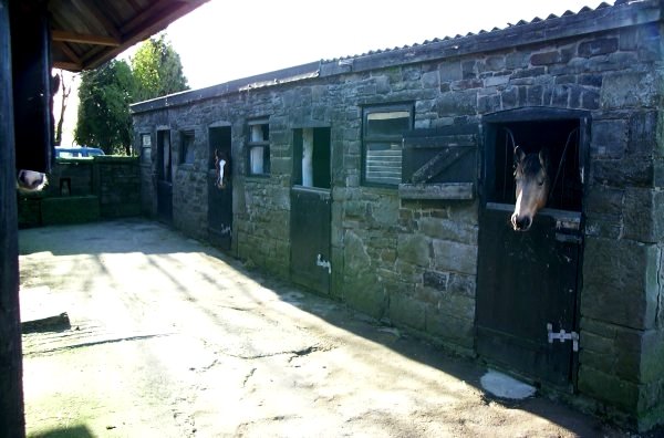 Small stable block