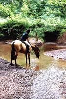 Drinking below the well.
