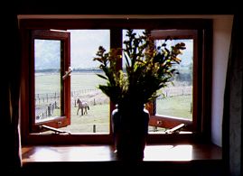 The view from the granery