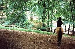 Approaching the well